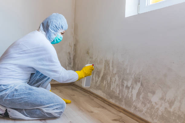 Bathroom Mold Removal assessment in Alva bathroom